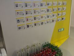 -英孚教育青少儿(河东中心)