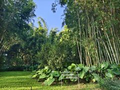 -云溪植物园