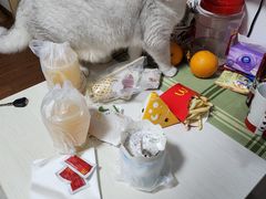 -宠爱国际动物医院·消化内科·心肾内科·ISFM猫友好(望京店)