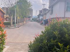 -大益茶庭(勐海会员中心店)