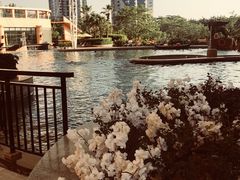 -深圳威尼斯英迪格酒店-邻芙花廊下午茶·NINFA GALLERY·蛋糕·咖啡