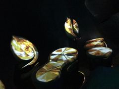 -贝壳梦幻世界