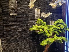 -上足·影院足道·SPA(红岭店)