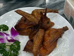 -鸽鸟轩(石岐店)