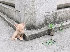 -昭山风景名胜区