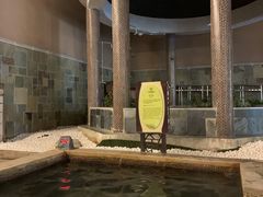 -深业半汤御泉庄温泉