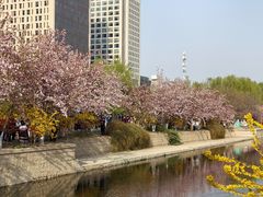 -海棠花溪(元大都城垣遗址公园)