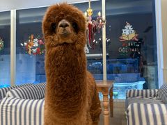 -半秋山西餐厅(销品茂店)