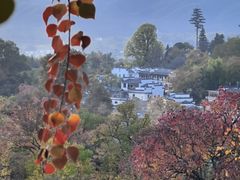 -塔川景区