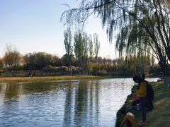 -大兴滨河森林公园