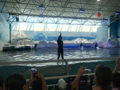 -秦皇岛乐岛海洋王国