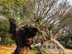 -云南勐巴娜西珍奇园