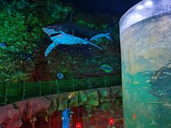 -青岛嘉年华主题乐园