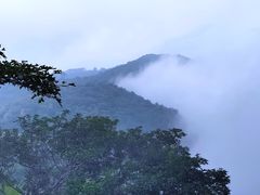 -阳台山自然风景区
