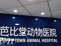 -芭比堂宠物医院·全科爱猫医院·仁德分院