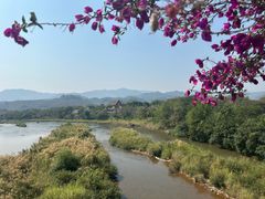 -中国科学院西双版纳热带植物园