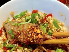 -朱光玉火锅馆(正弘城店)