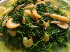 秧菜河虾-新旺美食林农家菜(岭南路店)