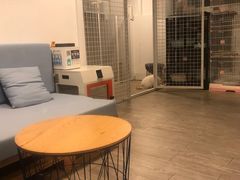 -有猫主题·治愈系猫咖(曾厝垵店)