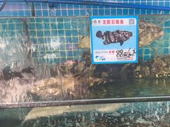 -范饭椰林川湘味海鲜·椰子鸡(三亚湾椰梦长廊店)