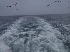-海驴岛(荣成市)