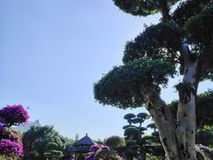 -南宁南湖公园