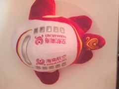 -海南海航航空信息系统公司