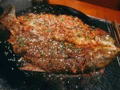 -福苗小骆驼烧烤(大唐不夜城店)