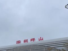 -深圳坪山站