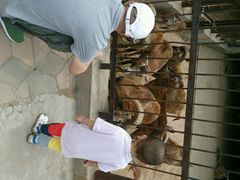 android_upload_pic-石家庄市动物园