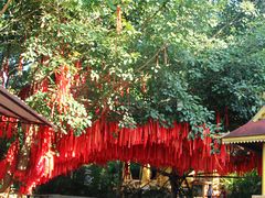 -西双版纳勐泐文化旅游区