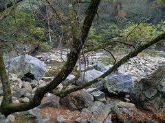 -祁门牯牛降观音堂风景区