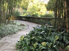 -晓港公园