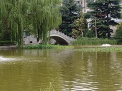 -西安市长乐公园