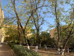 -青岛大学(金家岭校区)