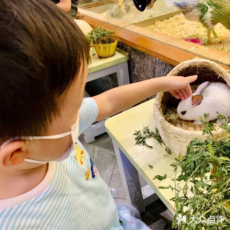 萌宠乐园夏日来打卡[调皮]