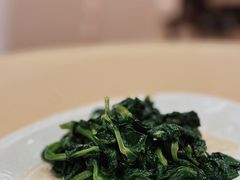 豆苗-粤味馆(黄河路店)