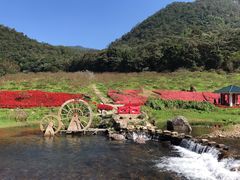 -广州市石门国家森林公园