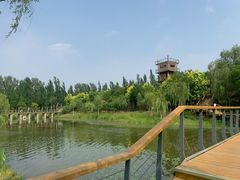 -东郊湿地公园