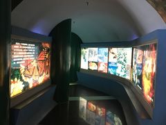 -上海昆虫博物馆