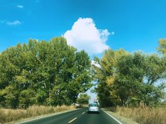 -塞罕坝国家级自然保护区