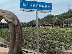 -丹樱生态园