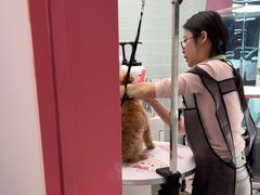 -FAELING PETS美天灵宠物(合生汇店)