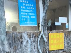 -麻城大别山桐枧冲瀑布群风景区