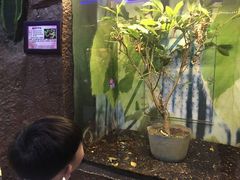 -上海大自然野生昆虫馆(东方明珠·爬宠昆虫探索中心)
