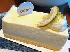 -gaga(北京新中关购物中心店)