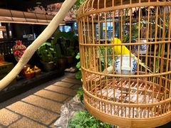 -淮扬府·游园京梦(北京SKP店)