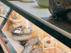 -喜上喜鸡煲翅(吉大店)