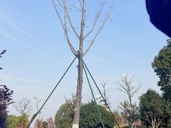 -西山漾湿地公园