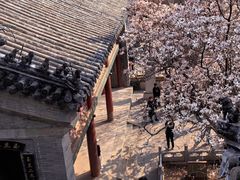 -潭柘寺景区